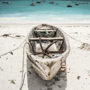 zanzibar 18 25.01.2026