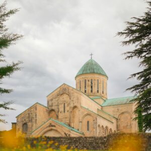 dreamer dude rxcphmhw4 a unsplash