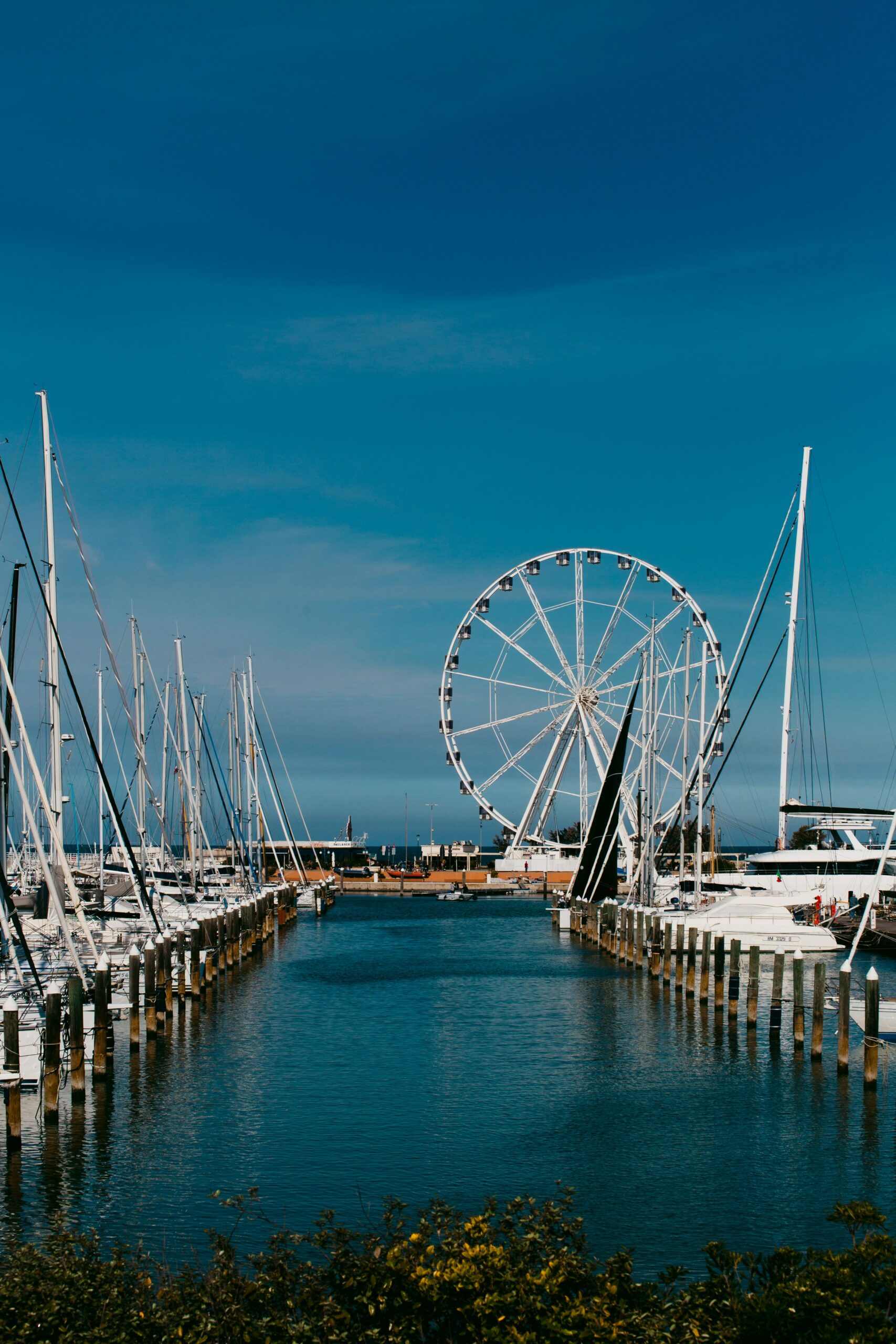 pexels gioele gatto 619355282 24350411